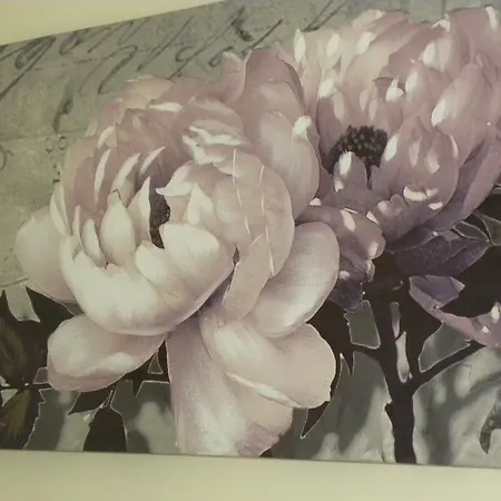 Apartment R&w Rome